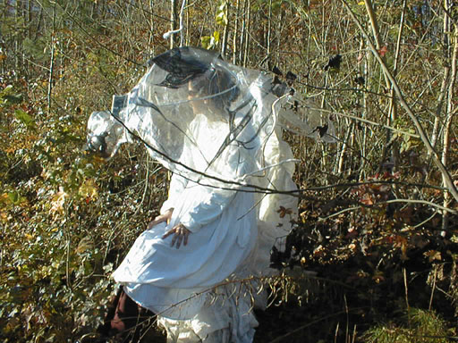 damn_fab_1.jpg (104442 bytes)