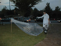 displ_5.jpg (15191 bytes)