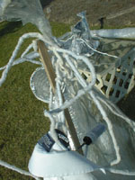 displ_costume_detailsm.jpg (19736 bytes)