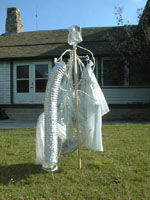 displ_costume_stakesm.jpg (17323 bytes)